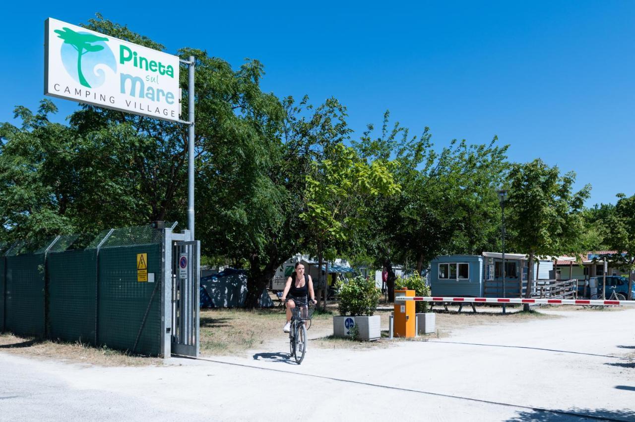 Pineta Sul Mare Camping Village Cesenatico Exteriör bild